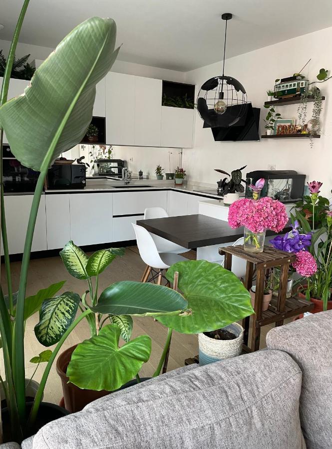 Mowgli House - Milano Luxury Apartment Private Room Экстерьер фото